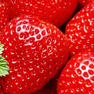 Meet your Posher, Oana